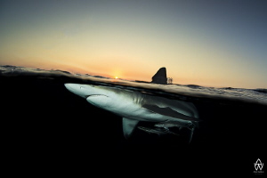 "A Moment in Time"
An early birthday gift from the ocean... by Allen Walker 
